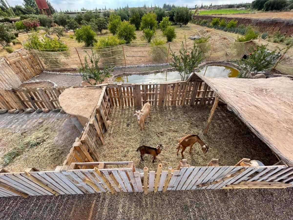 Jnan Lotf Marrakech Hotel El Harkat Buitenkant foto