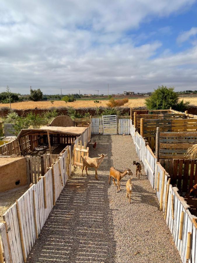 Jnan Lotf Marrakech - Le Jardin De La Bienviellance Hotel El Harkat Buitenkant foto