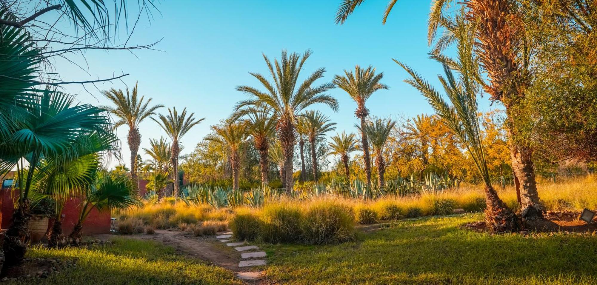 Jnan Lotf Marrakech Hotel El Harkat Buitenkant foto